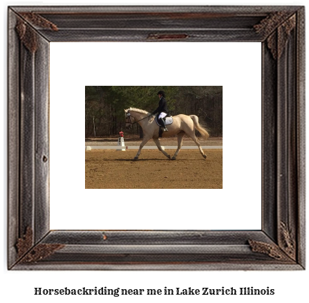 horseback riding near me in Lake Zurich, Illinois